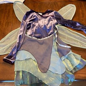 American Girl Fairy Costume